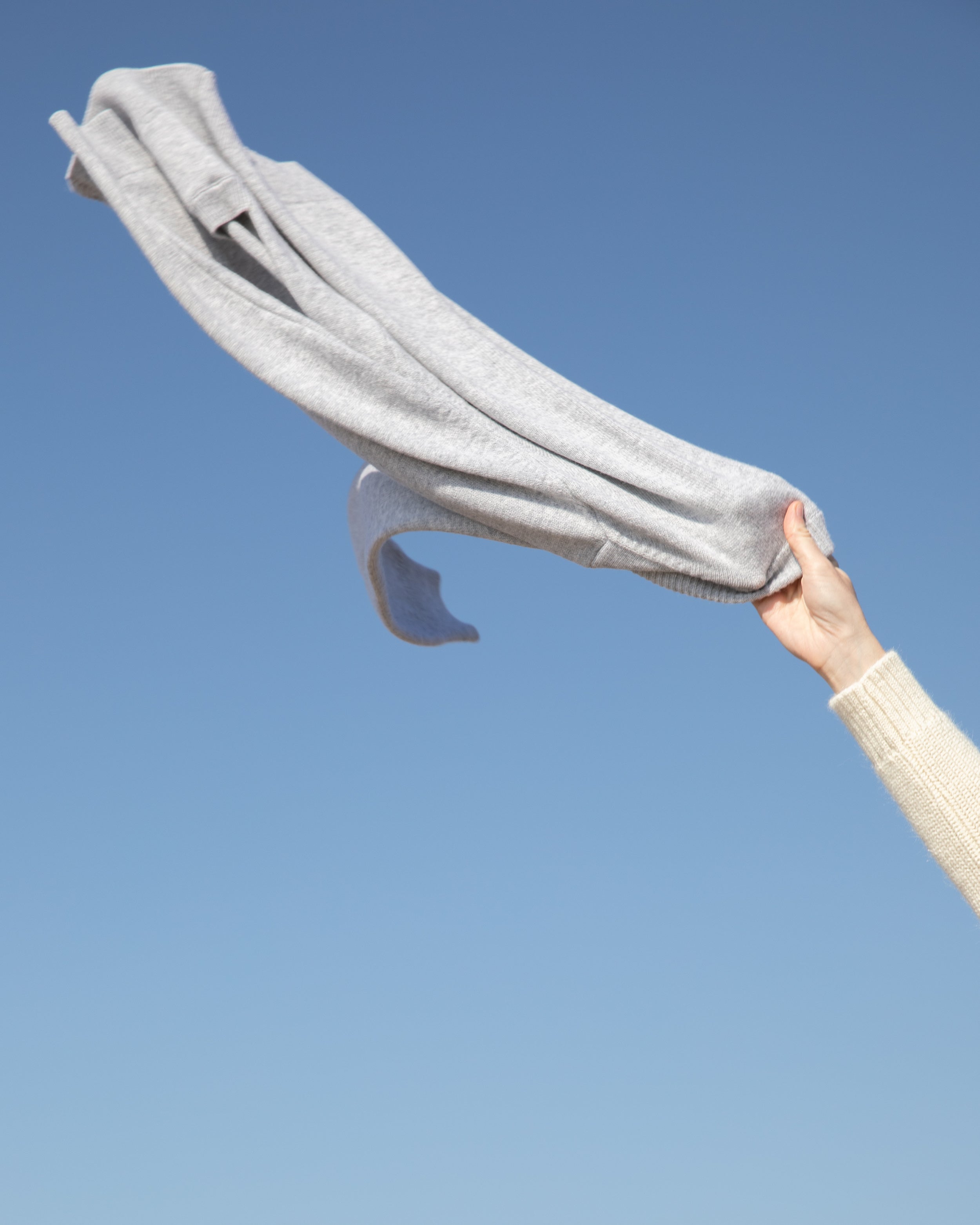 How to stop moths eating clothes