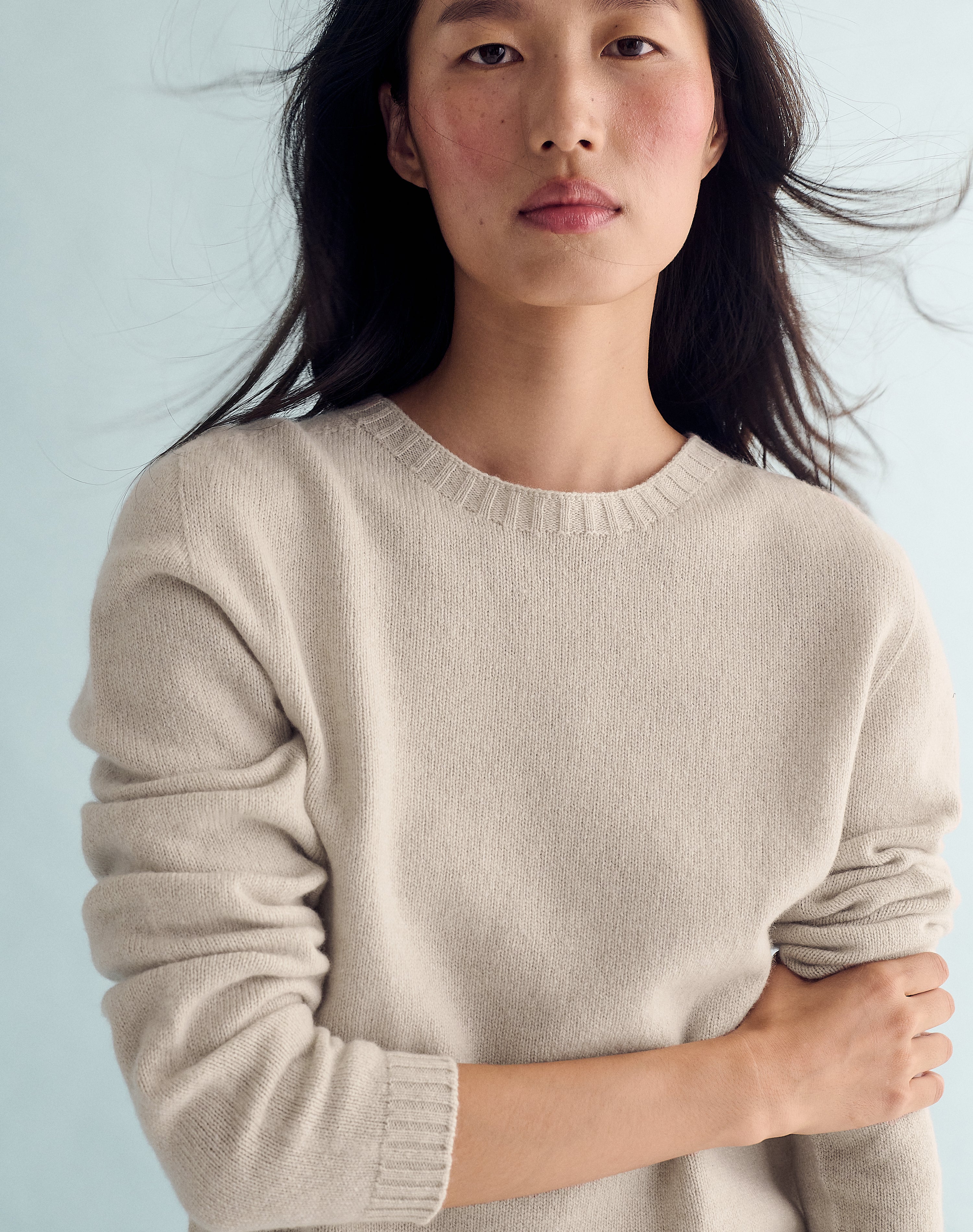 The New Classic Crew - Lait