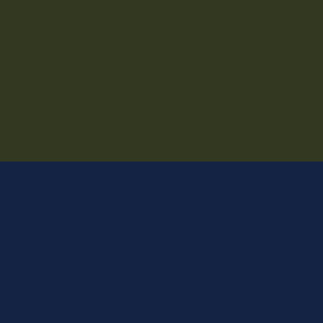 Navy Moss