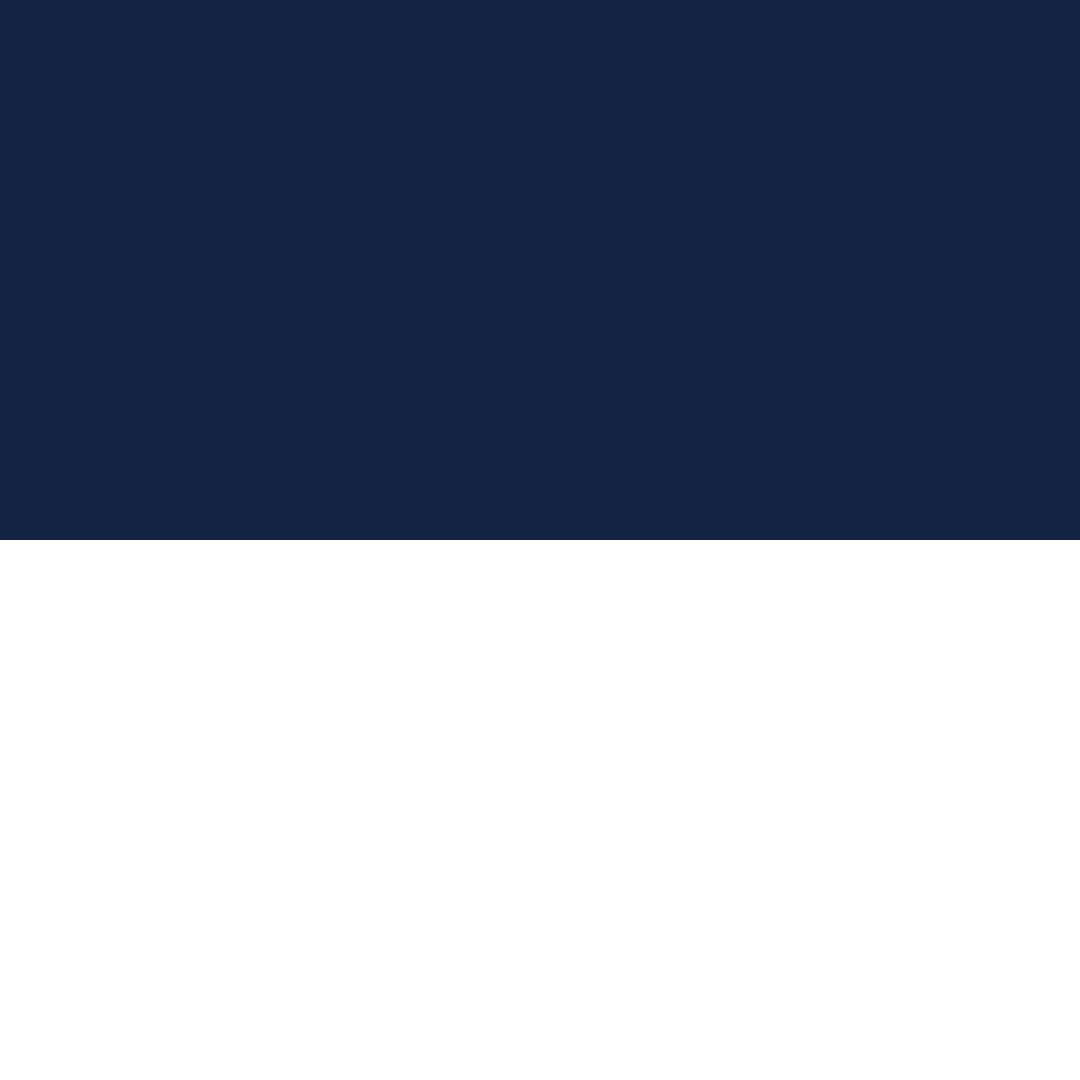 White Navy